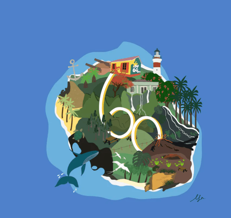 Portofolio
