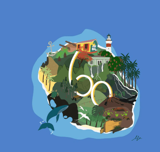 Portofolio