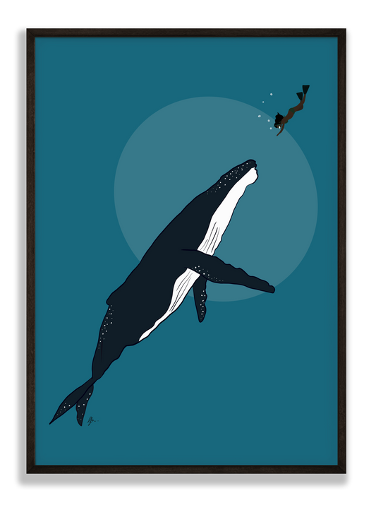illustration d'une femme qui plonge avec une baleine.